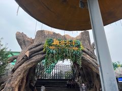 -白鹿原影视城