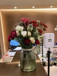 -Oasis Beauty水磨坊科技美肤中心