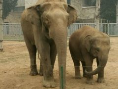 -石家庄市动物园