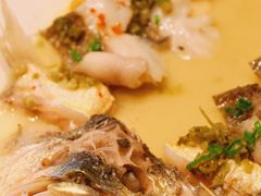海钓黄鱼-翠府(翠湖北路店)