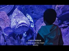 -哈尔滨波塞冬海底世界