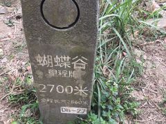 -梧桐山风景名胜区