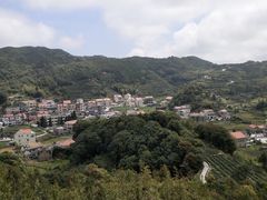 -军营村