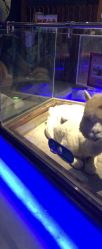 点击看大图 -未来动物城动物主题公园(大悦城店)