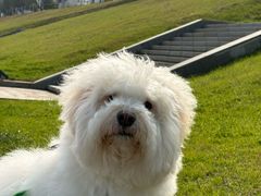 -长沙滨江文化园