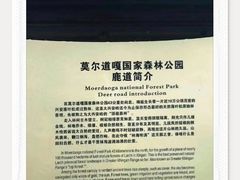 -莫尔道嘎国家森林公园