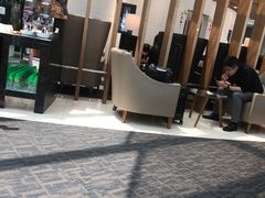 -虹桥机场国航贵宾室v8