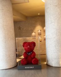 -VELEE·SPA高定疗愈会所