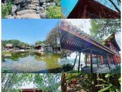 -顺峰山公园
