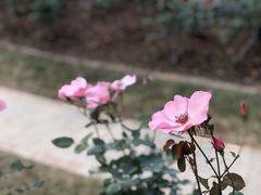 -人民公园(罗湖区)