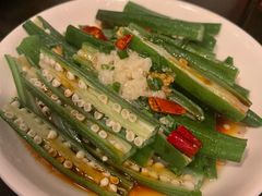 -三酉星·枫·山風与野菜(上海总店)