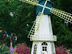 -上海共青森林公园