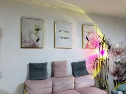 -美肤盾祛痘·问题肌头疗管理中心