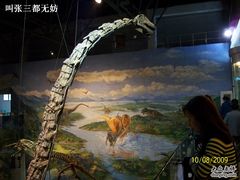 -自贡恐龙博物馆