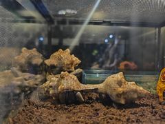 -太平洋海底世界