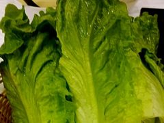 生菜-鲜入围煮花胶鸡海鲜火锅