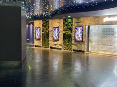-SFC动漫主题影院(美罗城店)