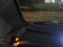 -春花秋色城市公园