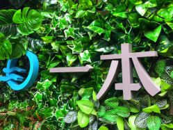 -一本X目奈子日式单根美睫专业店