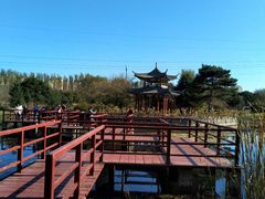 -黑龙江省森林植物园