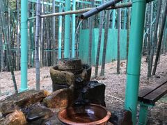 -陶祖圣境风景区