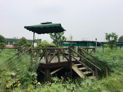 -洪湖家庭农场·团建·露营·会议