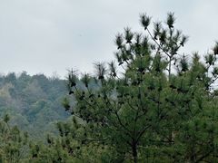 -虞山风景区