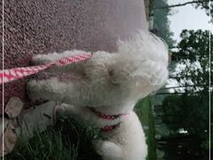 -蜀绣公园