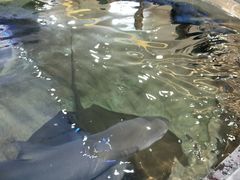 -鸿通城购物中心