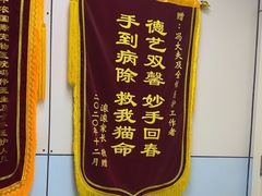 -中农国际动物医院24小时·猫科·骨科·急重症中心