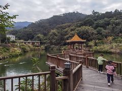 -龙山酒店温泉
