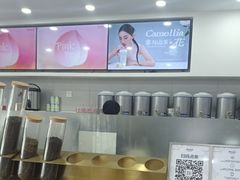 -雾与山茶(大禹城店)