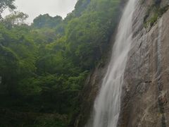 -陕西省红河谷森林公园