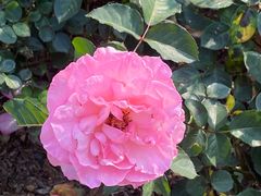 -人民公园(罗湖区)