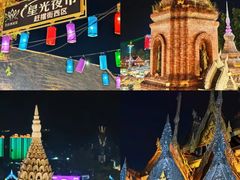 -西双版纳原始森林公园
