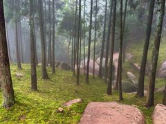 -玉苍山国家森林公园