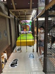 -卡通尼·Safari非洲探索乐园·生日会(金桥国际商业广场店)