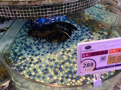 -三号码头罗氏虾小馆
