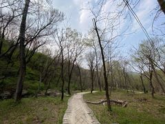 -玉渡山自然风景区