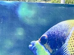 -大连老虎滩海洋公园