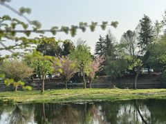 -贵阳市花溪国家城市湿地公园