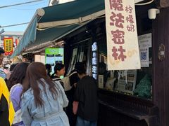 -猫的魔法密林(衣裳街店)