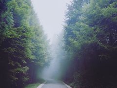 -山王坪喀斯特国家生态公园