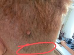 -HairCode芭曲发型