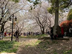 -苏州上方山国家森林公园