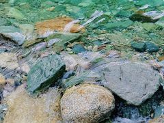 -虹口漂流