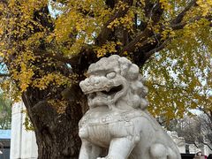 -北京石刻艺术博物馆(五塔寺)