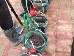 -北海金海湾红树林生态旅游区