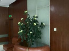 -天津市滨海新区塘沽口腔医院