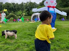 -泉州海丝野生动物世界